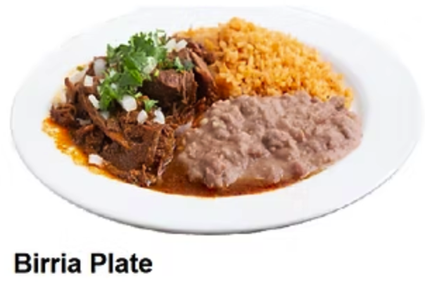 Birria Plate